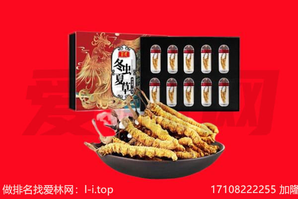 文成县回收虫草.jpg